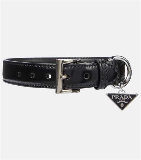 prada puppies|Prada dog collars for sale.